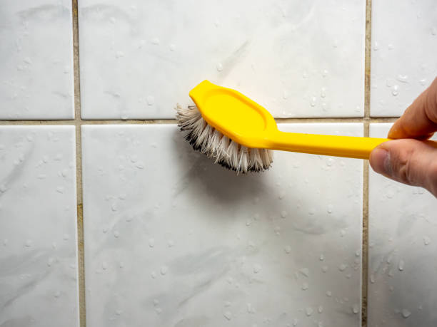 Best Certified Mold Removal  in Coronado, CA