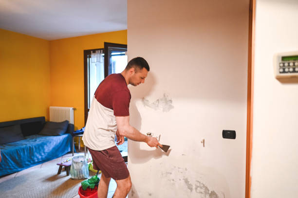 Best Toxic Mold Removal  in Coronado, CA