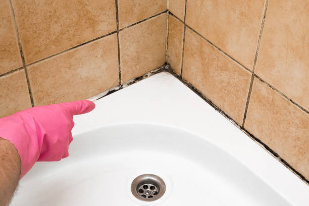 Best Crawl Space Mold Removal  in Coronado, CA